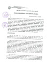 Vista preliminar de documento Resolución Gerencial N° 0080-2020/MPS-GSCYGRD