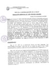 Vista preliminar de documento Resolución Gerencial N° 1299-2020/MPS-GSCYGRD