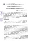 Vista preliminar de documento Resolución Gerencial N° 1331-2020/MPS-GSCYGRD