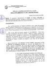 Vista preliminar de documento Resolución Gerencial N° 1600-2020/MPS-GSCYGRD