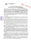 Vista preliminar de documento Resolución Gerencial N° 0905-2017/MPS-GSCYGRD