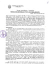Vista preliminar de documento Resolución Gerencial N° 2079-2017/MPS-GSCYGRD