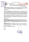Vista preliminar de documento Resolución Gerencial N° 2467-2017/MPS-GSCYGRD