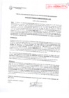 Vista preliminar de documento Resolución Gerencial N° 2006-2015/MPS-GSCYGRD