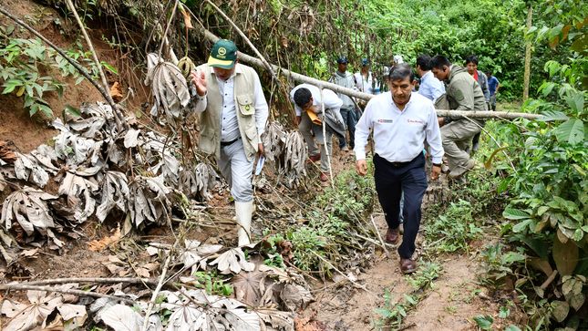 Ministro Carlos Morán supervisó con autoridades de Pasco las acciones de respuesta ante aumento de lluvias.