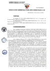 Vista preliminar de documento RG 088-2022