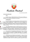 Vista preliminar de documento RD-001-2022-ACFFAA-DEC