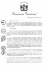 Vista preliminar de documento RD 09-2019-PNSU