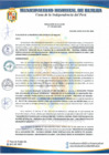 Vista preliminar de documento Resolución de Alcaldía Nº178-2020-MDH