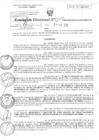 Vista preliminar de documento RD0134-MIDAGRI-DVDIAR-PEBPT-DE_0001_0001.pdf