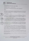 Vista preliminar de documento 0349-2019-MDSJL