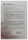 Vista preliminar de documento 1147-2019-MDSJL