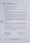 Vista preliminar de documento 1306-2019-MDSJL