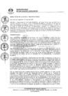 Vista preliminar de documento 1339-2019-MDSJL