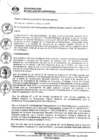 Vista preliminar de documento 0320-2020-MDSJL