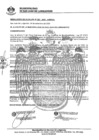 Vista preliminar de documento 0357-2020-MDSJL