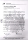 Vista preliminar de documento 0370-2020-MDSJL