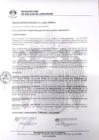 Vista preliminar de documento 0371-2020-MDSJL