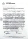 Vista preliminar de documento 0375-2020-MDSJL