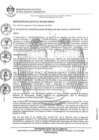 Vista preliminar de documento 0368-2020-MDSJL