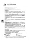 Vista preliminar de documento 0528-2020-MDSJL