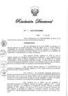 Vista preliminar de documento RD N° 031-2022.pdf