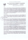 Vista preliminar de documento RESOLUCION GERENCIAL N° 031-2021-GM-MDCLR.pdf