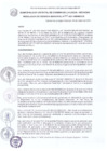 Vista preliminar de documento RESOLUCION GERENCIAL N° 033-2021-GM-MDCLR.pdf