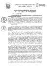 Vista preliminar de documento Resolución de Administración