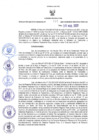 Vista preliminar de documento Resolución Ejecutiva Regional N°195-2021
