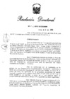 Vista preliminar de documento RD N° 211-2010.pdf
