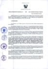 Vista preliminar de documento Resolución Ejecutiva Regional N°142-2021