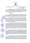 Vista preliminar de documento Resolución Ejecutiva Regional N°133-2021