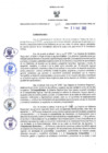 Vista preliminar de documento RER N° 161 - 2022