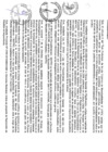 Vista preliminar de documento file05211.pdf