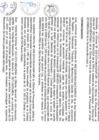 Vista preliminar de documento file05222.pdf