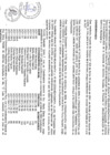Vista preliminar de documento file05226.pdf