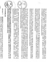 Vista preliminar de documento file04623.pdf