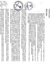 Vista preliminar de documento file04622.pdf