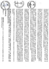 Vista preliminar de documento file04679.pdf