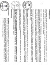 Vista preliminar de documento file04797.pdf