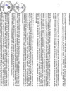Vista preliminar de documento file04801.pdf