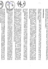Vista preliminar de documento file04829.pdf