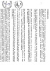 Vista preliminar de documento file04832.pdf
