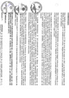 Vista preliminar de documento file04912.pdf