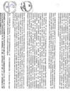 Vista preliminar de documento file04913.pdf