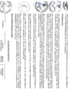 Vista preliminar de documento file04982.pdf