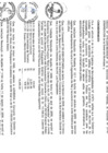 Vista preliminar de documento file05007.pdf