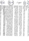 Vista preliminar de documento file05912.pdf