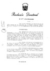 Vista preliminar de documento RD N° 245-2010.pdf